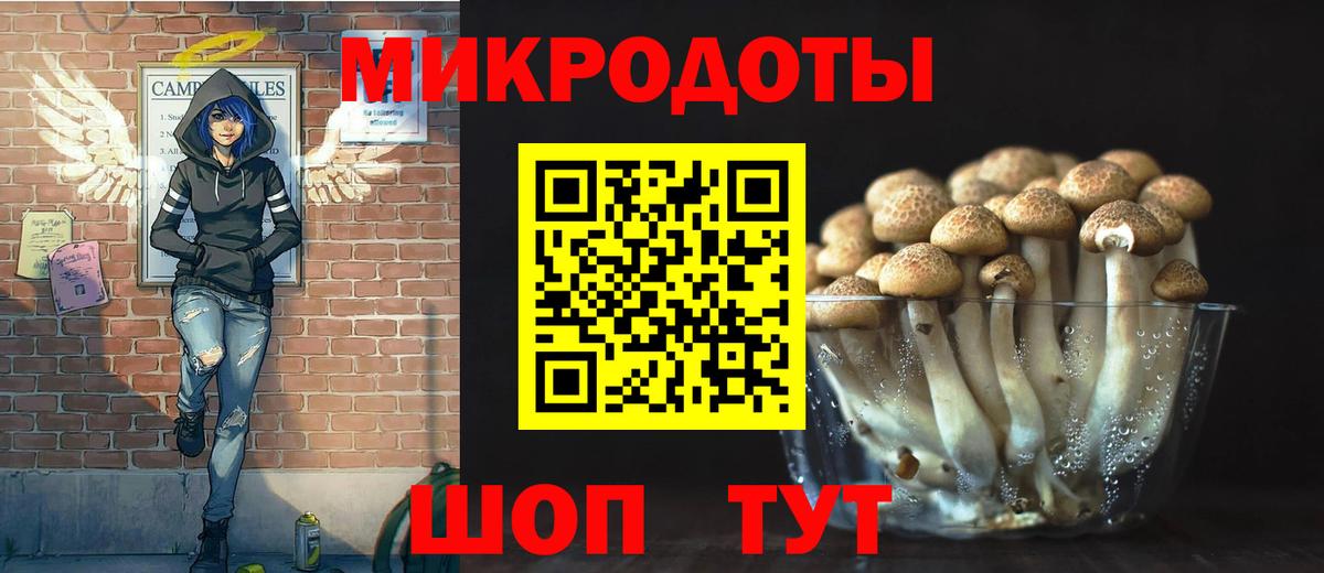 Оренбург  Галлюциногенные грибы мицелий  Псилоцибиновые грибы Psilocybine cubensis  Вход с VPN 